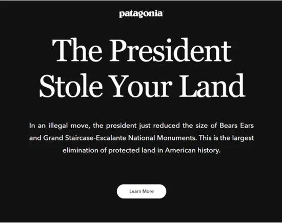 Patagonia progetti woke